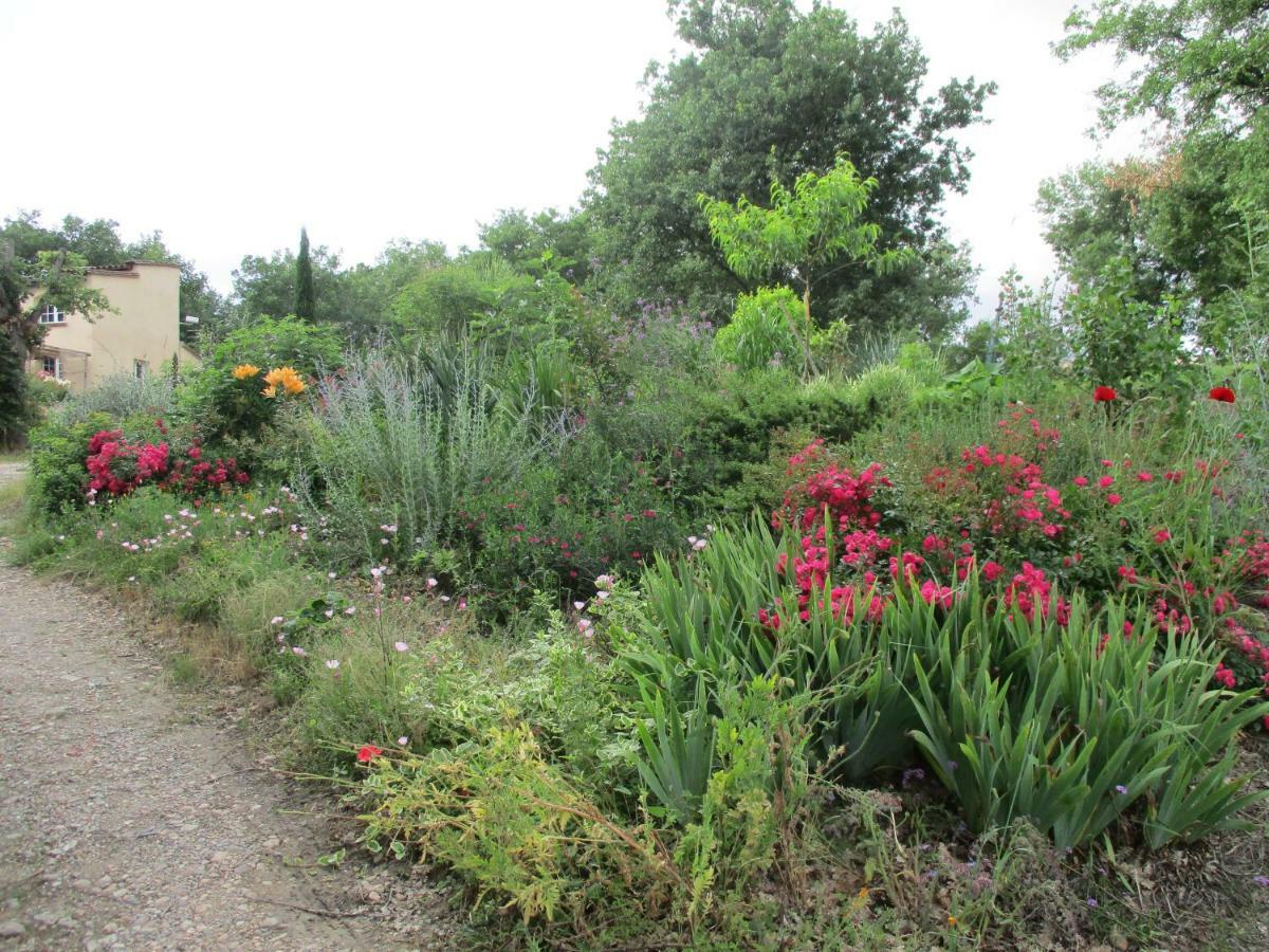 Bienvenue Dans Notre Petit Paradis Lejlighed Pelleport Eksteriør billede